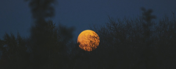 Пять самых опасных дней в январе 2020